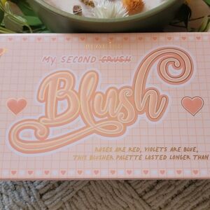 PLouise Blush Palette - Peach and Pink Packaging